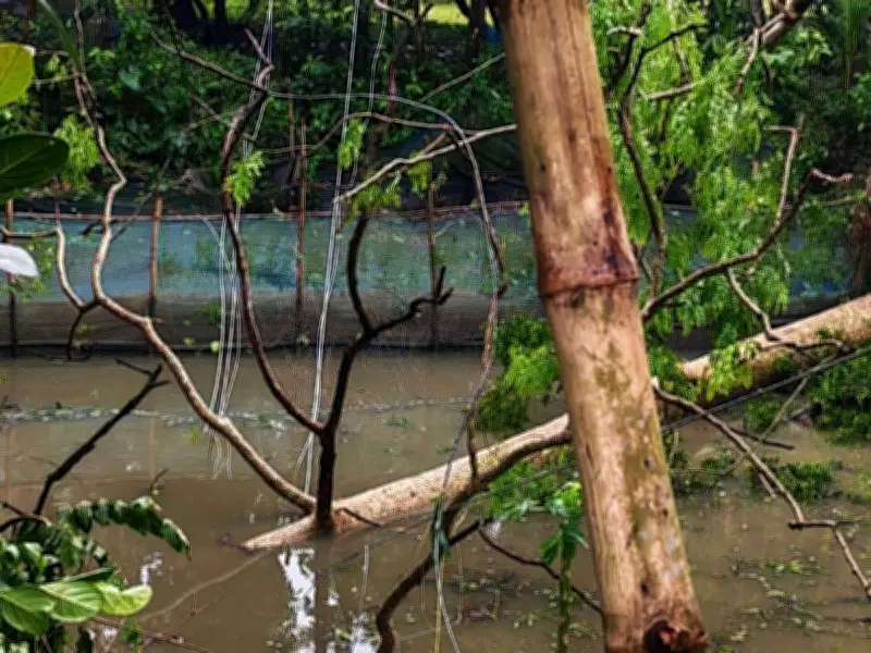 জয়পুরহাটে কালবৈশাখীর তাণ্ডবে বিদ্যুৎ বিপর্যয়, ৭৫ গ্রাম অন্ধকারে