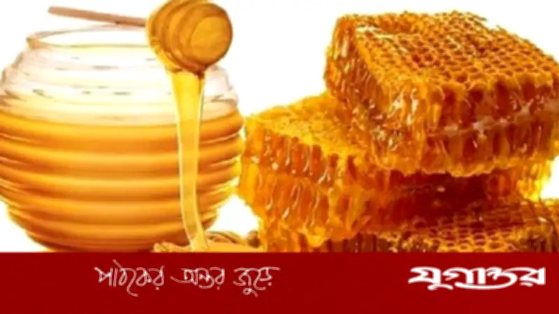 মধু খাওয়ার আগে জানা জরুরি ৫ বিষয় যা স্বাস্থ্য সুরক্ষায় সহায়ক
