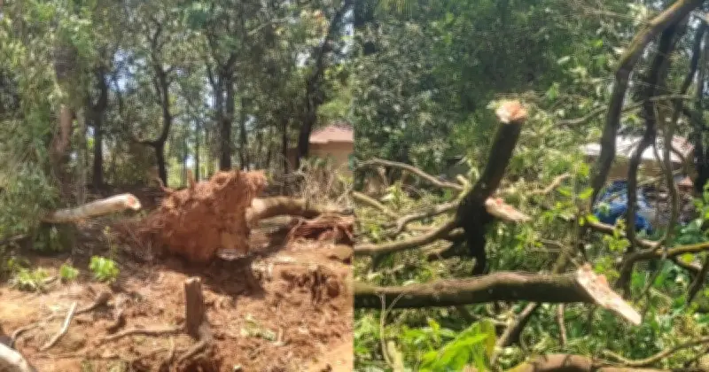শ্রীপুরে ১৫ মিনিটের কালবৈশাখীতে তিন গ্রাম লন্ডভন্ড, বিদ্যুৎ বিচ্ছিন্ন