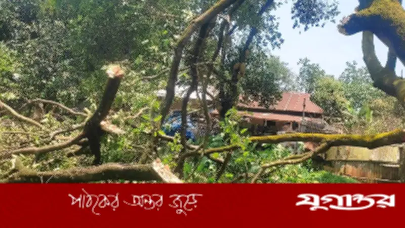 কালবৈশাখীর তাণ্ডবে লন্ডভন্ড শ্রীপুরের তিন গ্রাম