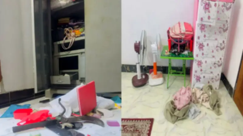 সোনারগাঁওয়ে প্রবাসীর বাড়িতে চুরি, কুমিল্লায় গরুবোঝাই ট্রাক লুট
