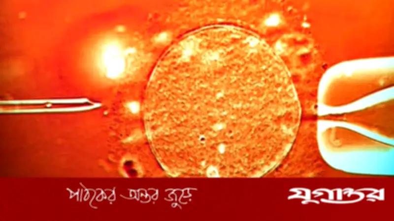 হিমায়িত টিস্যু থেকে ১৬ বছর পর প্রজনন সক্ষমতা ফিরে পাওয়া সম্ভব