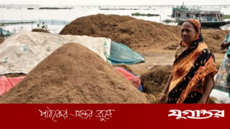 হাওড়ের কৃষকদের হতাশা: ঋণের কিস্তি কীভাবে দেবেন তারা
