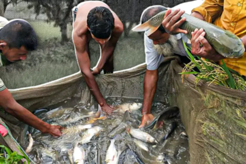 বাংলাদেশের নতুন অর্থনৈতিক অঞ্চল উদ্বোধন