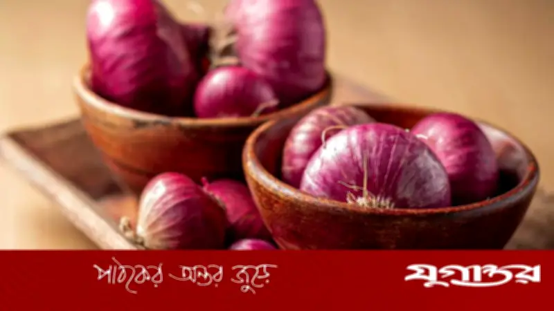 গরমে শরীর ঠান্ডা রাখতে লাল পেঁয়াজের জাদু, জানালেন বিশেষজ্ঞরা