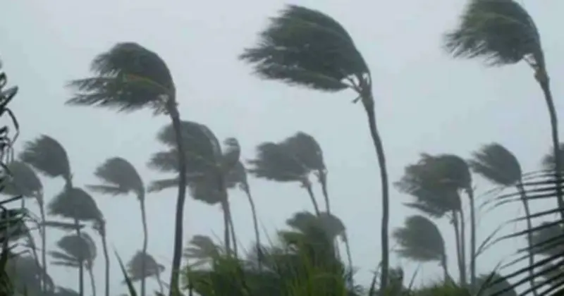 রাতের মধ্যে সাত অঞ্চলে ঝোড়ো হাওয়া, ১ নম্বর সতর্ক সংকেত