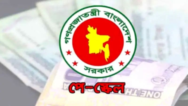পে স্কেলে পেনশন দ্বিগুণের সম্ভাবনা, ধানের দামে রেকর্ড