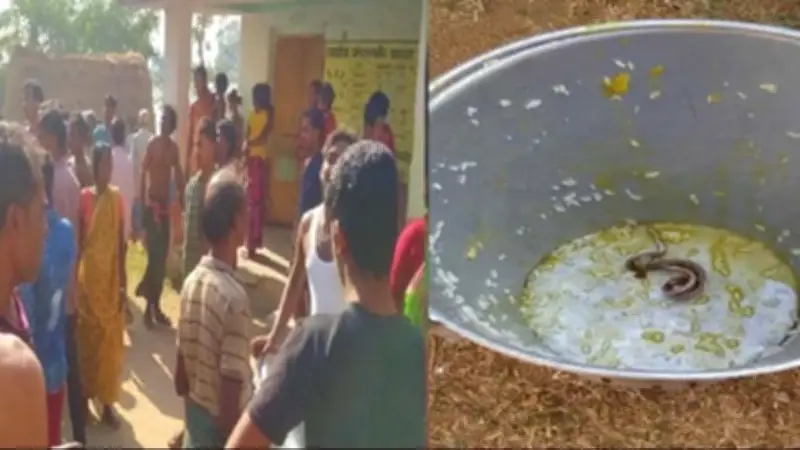 স্কুলের খাবারে সাপ, অসুস্থ ১৫০ শিশু; ইয়াবা জব্দ র্যাবের