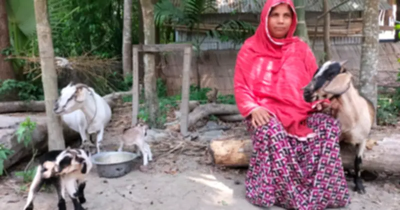 দেশি মাছ সংরক্ষণ প্রকল্পে দক্ষিণাঞ্চলে মাছ উৎপাদন বেড়েছে ৫০ হাজার টন