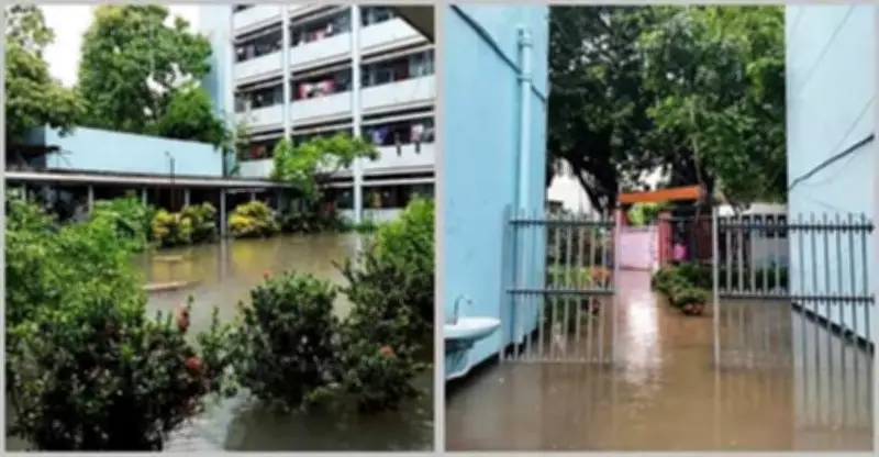 ঢাবির নীলক্ষেত-নিউমার্কেট এলাকায় জলাবদ্ধতায় শিক্ষার্থীদের দুর্ভোগ