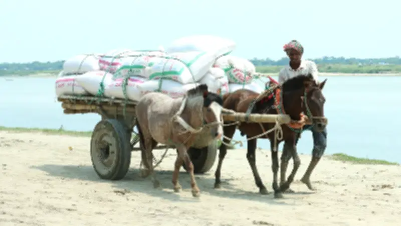 প্রকৃতির নানা রূপ: সিরাজগঞ্জ থেকে রাঙামাটি