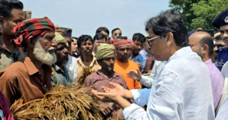 নাসিরনগরে বন্যায় ৩০০ হেক্টর ফসল নষ্ট, কৃষকদের পাশে মন্ত্রী