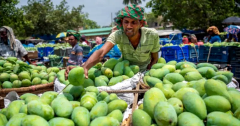 বাজারে ভালো আম চেনার ৩টি সহজ উপায়