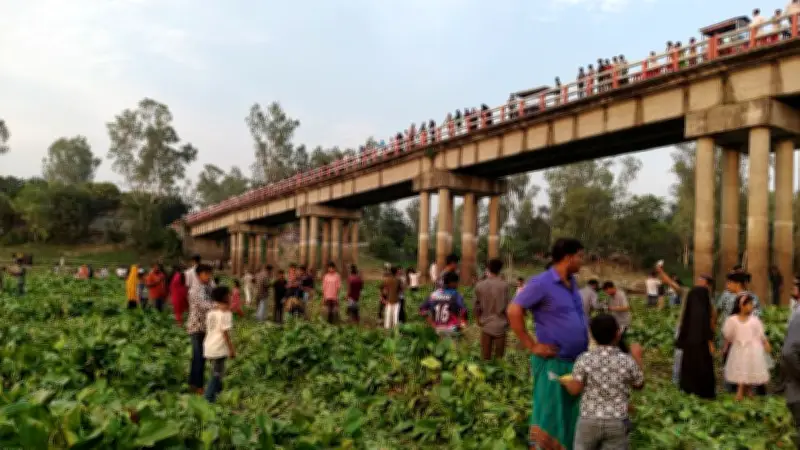 ফুলজোড় নদীর কচুরিপানায় নতুন আকর্ষণ: যুক্তরাজ্যের হরমুজ প্রণালিতে রণতরি পাঠানো