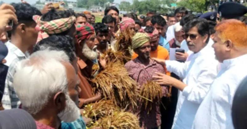 কৃষিমন্ত্রীকে কৃষকের আক্ষেপ: ঘর নেই, ধান নষ্ট