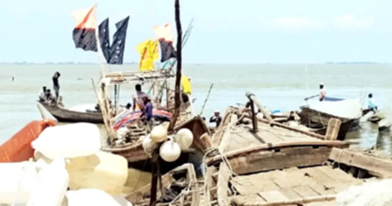 ভোলায় ভরা মৌসুমেও ইলিশ শূন্য, জেলেরা হতাশ