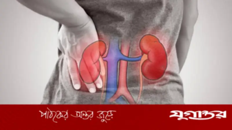 শরীরের যে অংশে ব্যথা হলে বুঝবেন কিডনি সমস্যা