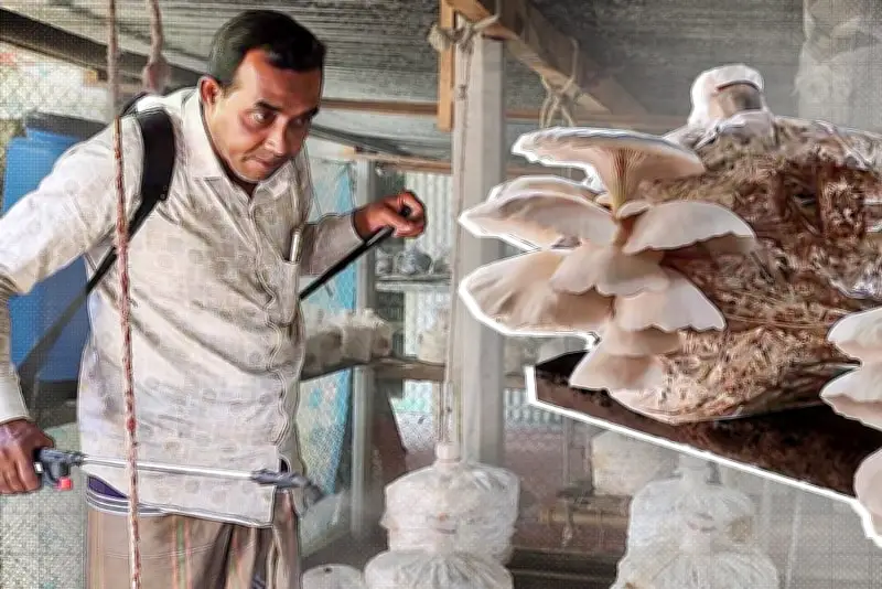 বাংলাদেশের নতুন শিক্ষানীতি ঘোষণা