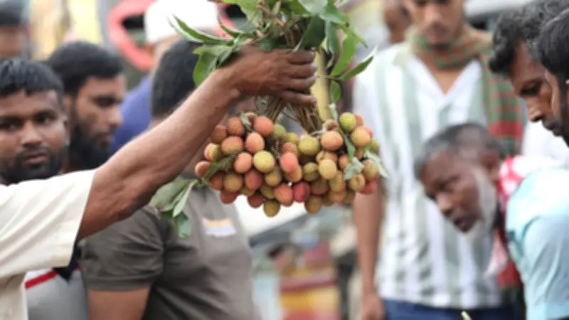 দশটি ছবিতে বাংলাদেশের গ্রামীণ জীবনের নানা দিক