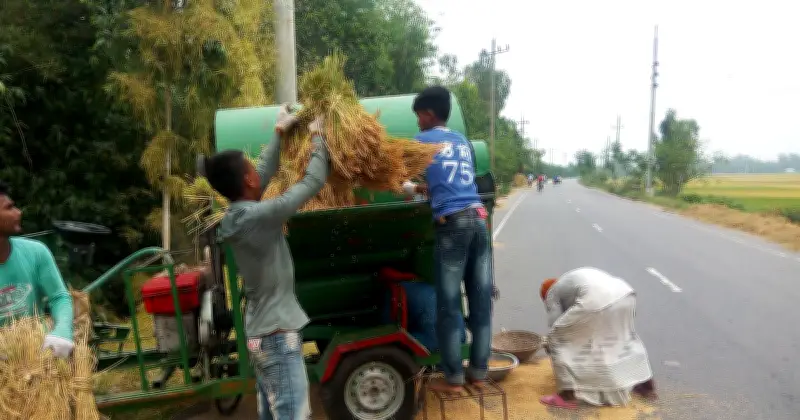 ফুলবাড়ী-মধ্যপাড়া-রংপুর মহাসড়কে ধান মাড়াইয়ে দুর্ঘটনা বাড়ছে