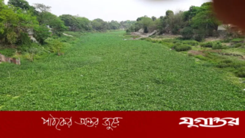 ২৫১ কোটি টাকা খরচ করেও নাব্য ফেরেনি কুমার নদ, দূষণে ভরপুর