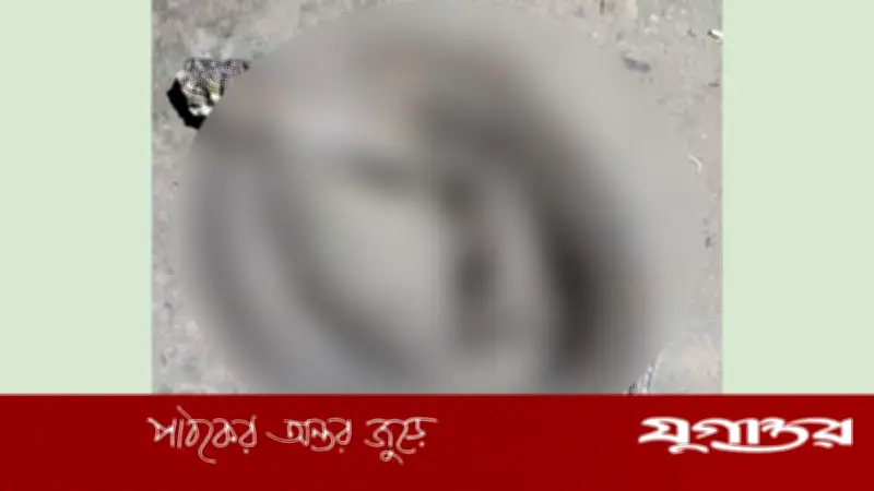 লক্ষ্মীপুরে বসতবাড়ির উঠানে মিলল বিশাল রাসেল ভাইপার