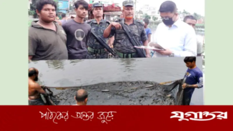 গাজীপুরে ১২০ মণ নিষিদ্ধ আফ্রিকান মাগুর মাছ জব্দ