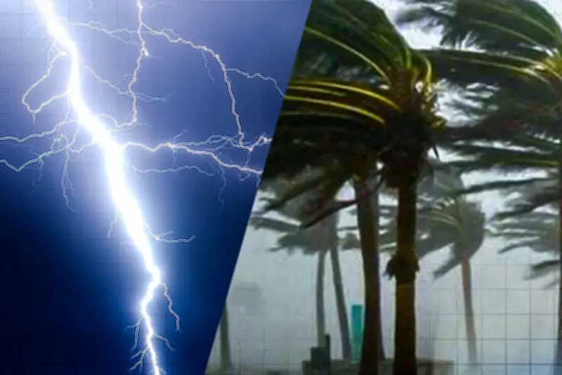 প্রথম আলো ভিডিও: বাংলাদেশের নতুন কনটেন্ট