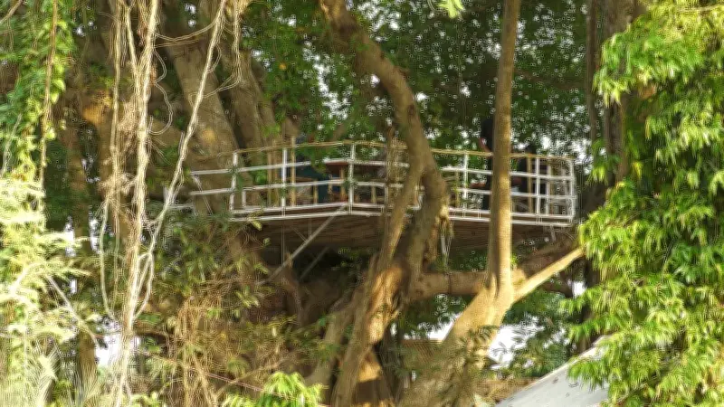 শতবর্ষী বটগাছে রেস্তোরাঁ: পাখির কিচিরমিচির হারিয়ে গেছে মানুষের ভিড়ে