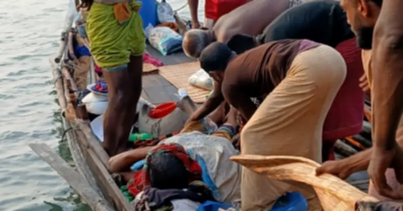সুন্দরবনে বাঘের আক্রমণে মৌয়াল গুরুতর আহত
