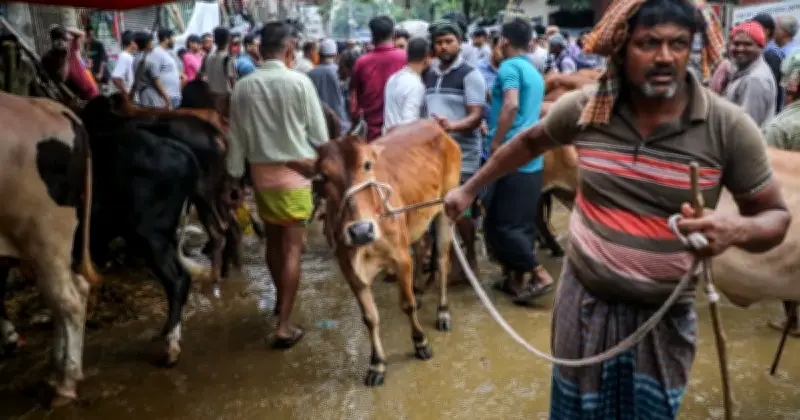 ঈদুল আজহায় পশুর হাটে জাল নোট শনাক্তকরণ বুথ বসানোর নির্দেশ