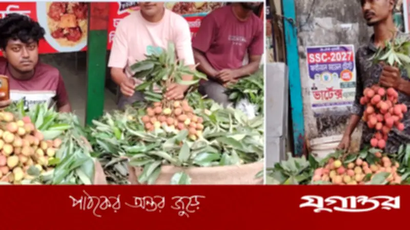 কেমিক্যালে পাকানো লিচুতে বাজার সয়লাব, স্বাস্থ্যঝুঁকি নিয়ে উদ্বেগ