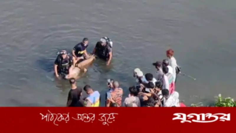 মেঘনায় গোসল করতে নেমে বিএফ শাহিন কলেজের ছাত্রের মৃত্যু