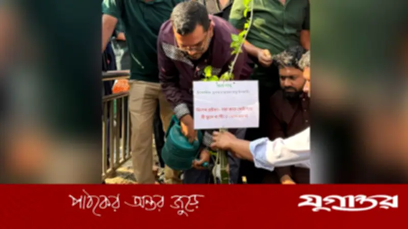 ঢাবিতে প্রধানমন্ত্রীর আগমনে ছাত্রদলের ৮৫টি ঔষধি বৃক্ষরোপণ