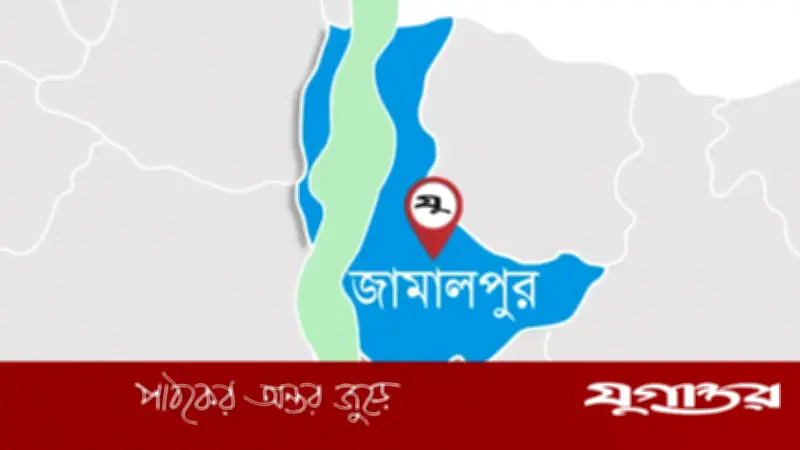 জামালপুরে লিচুর বিচি গলায় আটকে শিশুর মৃত্যু