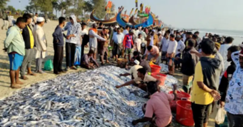 বাংলাদেশের নদী-সমুদ্রে জেলেরা কত প্রজাতির মাছ ধরেন?