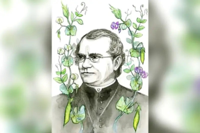 জীববিজ্ঞান বহুনির্বাচনি প্রশ্ন: গ্রেগর জোহান মেন্ডেল ও জিনতত্ত্ব