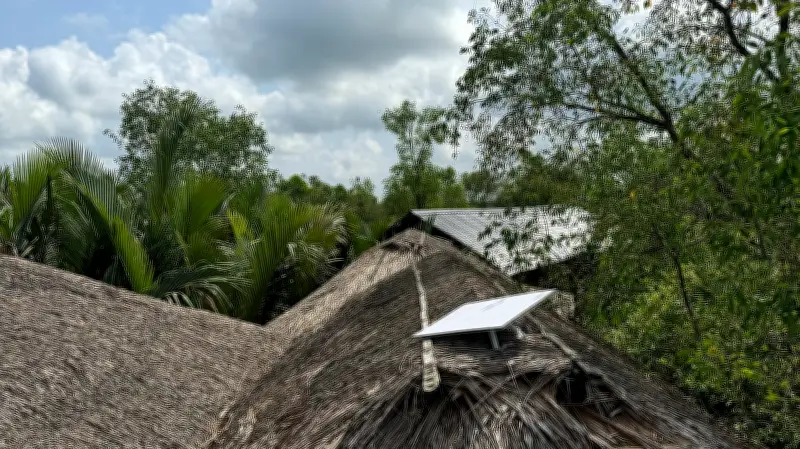 সুন্দরবনের গহিনে স্টারলিংকের ইন্টারনেট সেবা চালু
