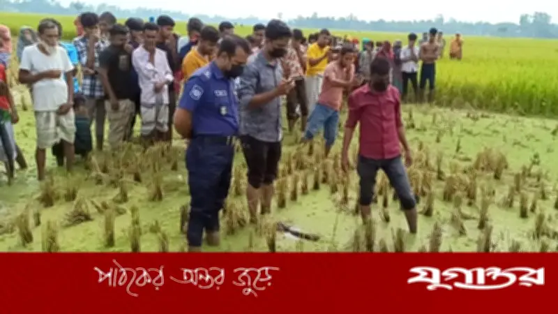 জয়পুরহাটে ধানখেতে মিলল অজ্ঞাত লাশ, পুলিশ তদন্ত শুরু