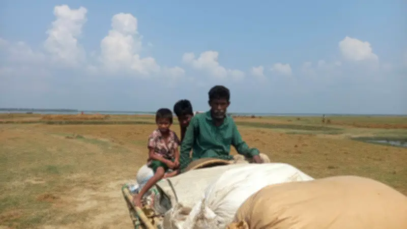 হাওরে ফসলহানি: কৃষক আবদুল জাহানের সংকটের গল্প