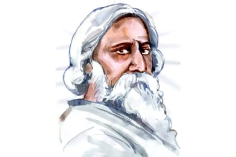 ইংরেজি ২য় পত্র: Modifiers অনুশীলন ও সমাধান