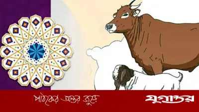 হালাল পশুর যে অংশগুলি খেতে অপছন্দ করতেন নবীজি (সা.)