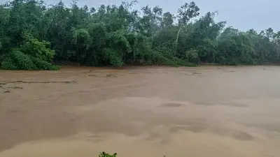 বৃষ্টি ও উজানের ঢলে চেল্লাখালী নদীর পানি বিপৎসীমার ১৬০ সেমি ওপরে