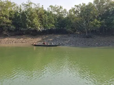 সুন্দরবনে অপহৃত ১৮ জেলে-মৌয়াল মুক্তিপণ দিয়ে ফিরলেন