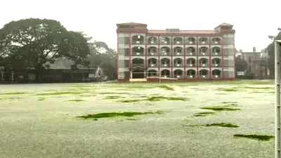 দেশে ভোটার বেড়েছে ৬ লাখ ২৮ হাজার ৫৭ জন