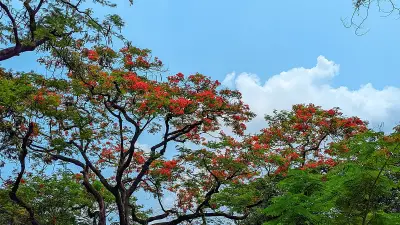 গ্রাম থেকে শহর, বদলে যাচ্ছে বাসস্থানের চিত্র