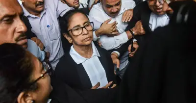 মমতা বন্দ্যোপাধ্যায় হাইকোর্টে গিয়ে বিক্ষোভের মুখে, আইনজীবীদের 'চোর' স্লোগান