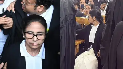 মমতা হাইকোর্টে আইনজীবী, কলকাতায় বুলডোজার অভিযান