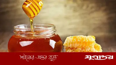 মধু আসল নাকি ভেজাল? চেনার পাঁচটি সহজ উপায়