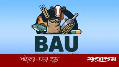 প্রাণী খাদ্য ব্যয় কমাতে বাকৃবির এআই সফটওয়্যার উদ্ভাবন